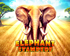 Elephant Stampede
